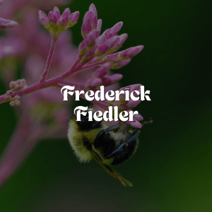 An image of work by artist Frederick Fiedler with his name superimposed over the image.