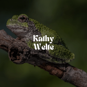 An image of work by artist Kathy Weltewith their name superimposed over the image.