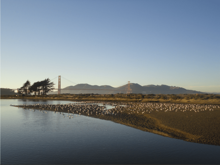 A photograph by artist Eartha L. Goodwin.