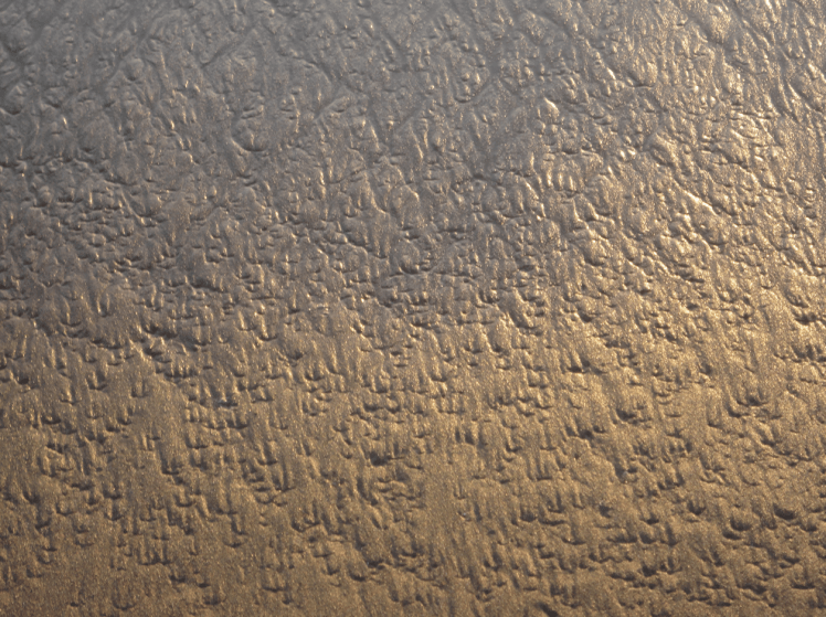 A photograph by artist Eartha L. Goodwin.