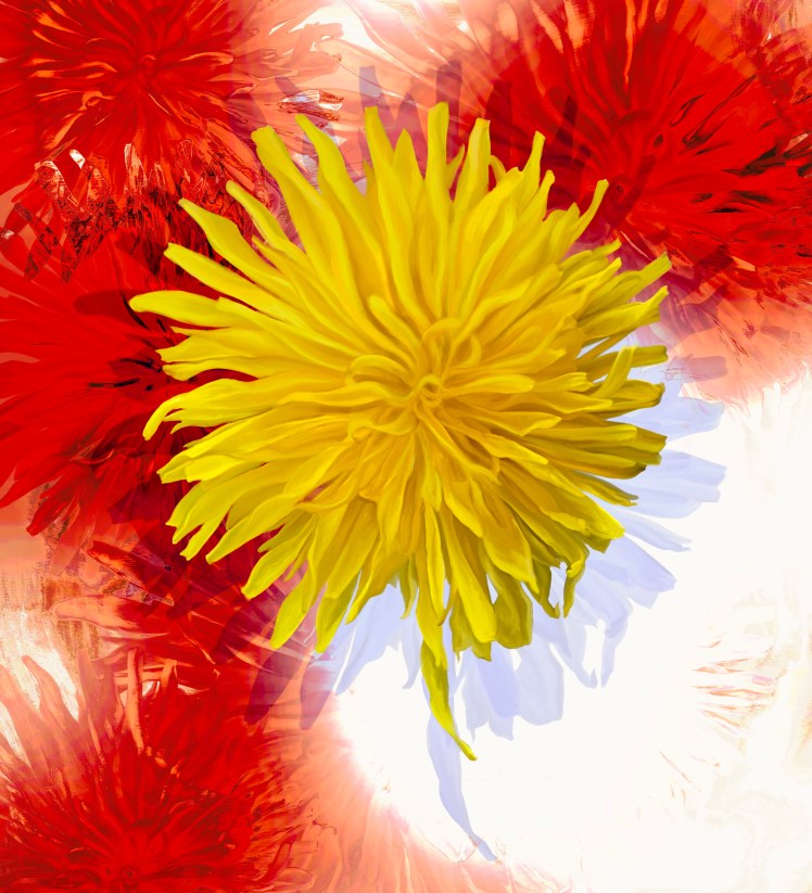 Abstract painting by artist Tara Shannon.